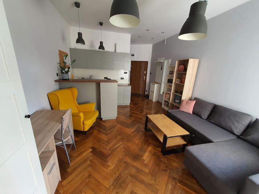 Apartament Przy Szkole Filmowej, Darmowy Parking Λοτζ Εξωτερικό φωτογραφία